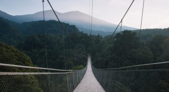 Situ Gunung, Jembatan Gantung Terpanjang se-Asia Tenggara Ada di Indonesia! Berani Lewat?