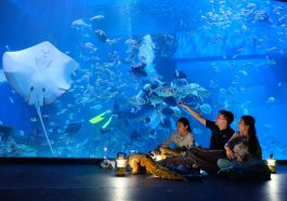 Jakarta Aquarium Safari