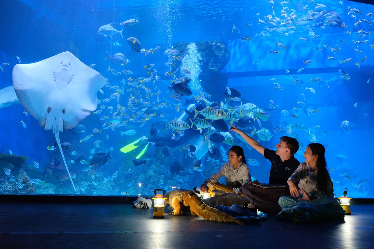 Jakarta Aquarium Safari