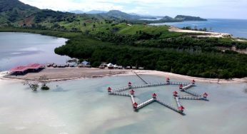 Sensasi Ajaib! Pagi Bersama Flamingo di Pantai Ratu Gorontalo, Cocok Jadi Destinasi Ramah Keluarga