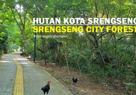 Hutan Kota Srengseng
