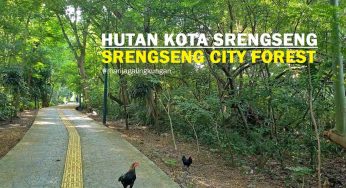 Hidden Gem Jakarta Barat! Hutan Kota Srengseng Jadi Spot Healing Favorit Anak Muda