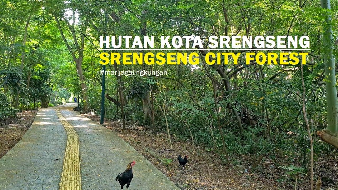 Hutan Kota Srengseng