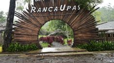 Kampung Cai Ranca Upas