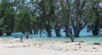 Viral di Medsos! Pantai Lhok Mee Aceh Ternyata Punya Pasir Putih dan Pohon Ajaib di Tengah Laut, Ini Lokasi dan Harga Tiketnya!
