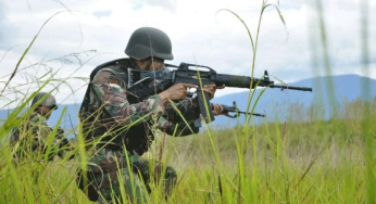 TNI Gempur Markas OPM Soanggama! 14 Anggota KKB Tewas dalam Serangan Kilat!